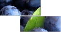 4030305