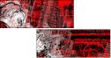 42837141