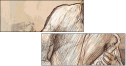 42960338