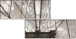 45668708