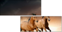 45981925