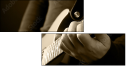 48987688