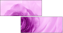 52109021