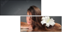 56517221