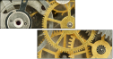 56949725