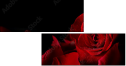60186592