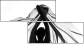 64353115