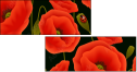 64821989