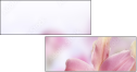 65612504