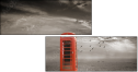 69644309