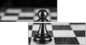 70258713