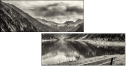 73210814