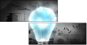 76194221