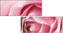 95247840
