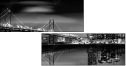 98976807