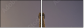 10023302
