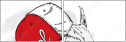 104862704