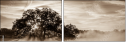 110890468