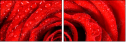 112923652