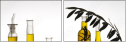 13720078