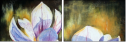 21636905