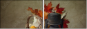 26891183