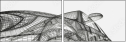 27014527