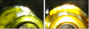 28072975