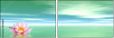 29216817