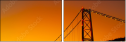 293004009