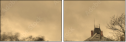 29517691