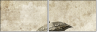 30497770