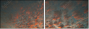 32897630