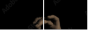 33360952