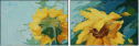 33565665