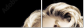 34938176