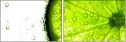 35158909