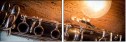 39661645