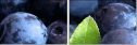 4030305