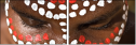 4332729
