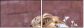 43471205