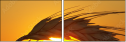 4517963