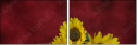 45812888
