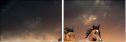 45981925