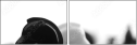 49013321