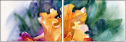 49614192