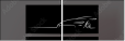 50163980