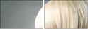 50250548