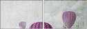 51047463