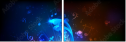 51623095